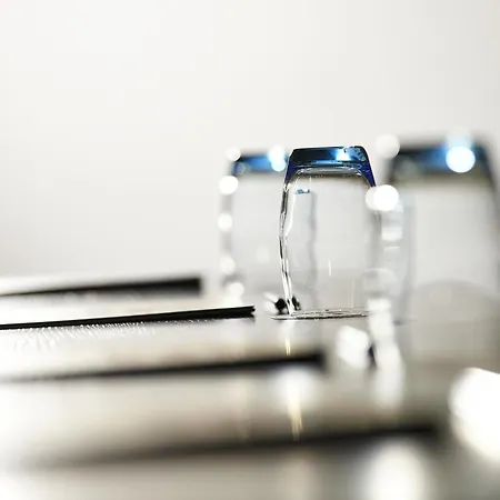 Adagio Bale Mulhouse Aeroport 4*