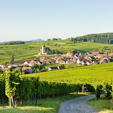 Adagio Bale Mulhouse Aeroport 4* ブロッツアイム