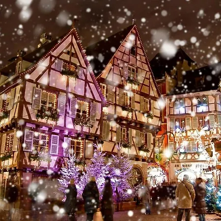 アパート Adagio Bale Mulhouse Aeroport 4*