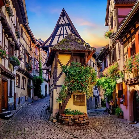 Adagio Bale Mulhouse Aeroport アパート