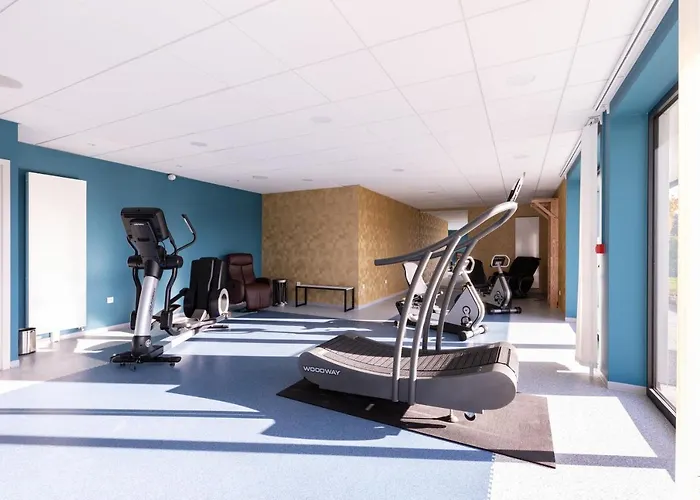 Adagio Bale Mulhouse Aeroport 4*