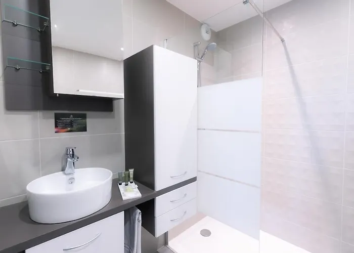 Adagio Bale Mulhouse Aeroport 4*