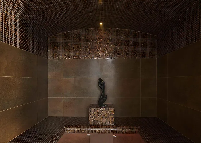 Adagio Bale Mulhouse Aeroport 4*