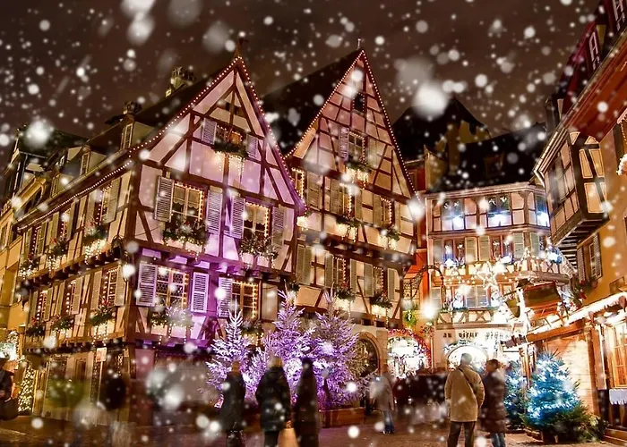 Appartement Adagio Bale Mulhouse Aeroport 4*